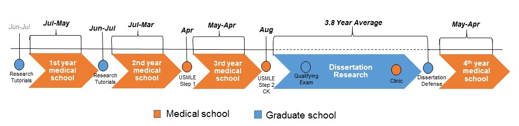 MD/PhD项目时间表和日期