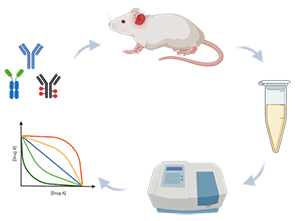 Rat going around in circle of pre-clinical development cycle graphic