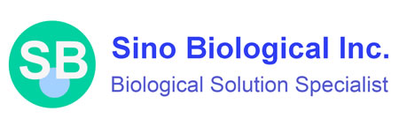 Logo of Sino Biological Inc.