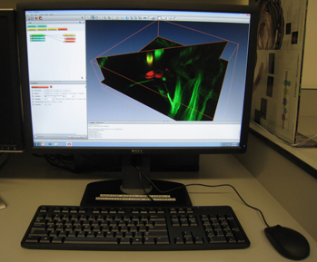 Image Analysis Workstation with Amira Software