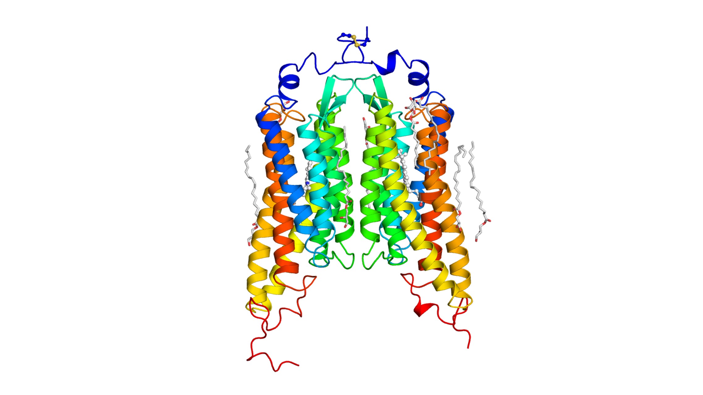 晶体结构通道旋丁蛋白