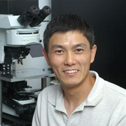 Ling-Gang Wu，医学博士，博士