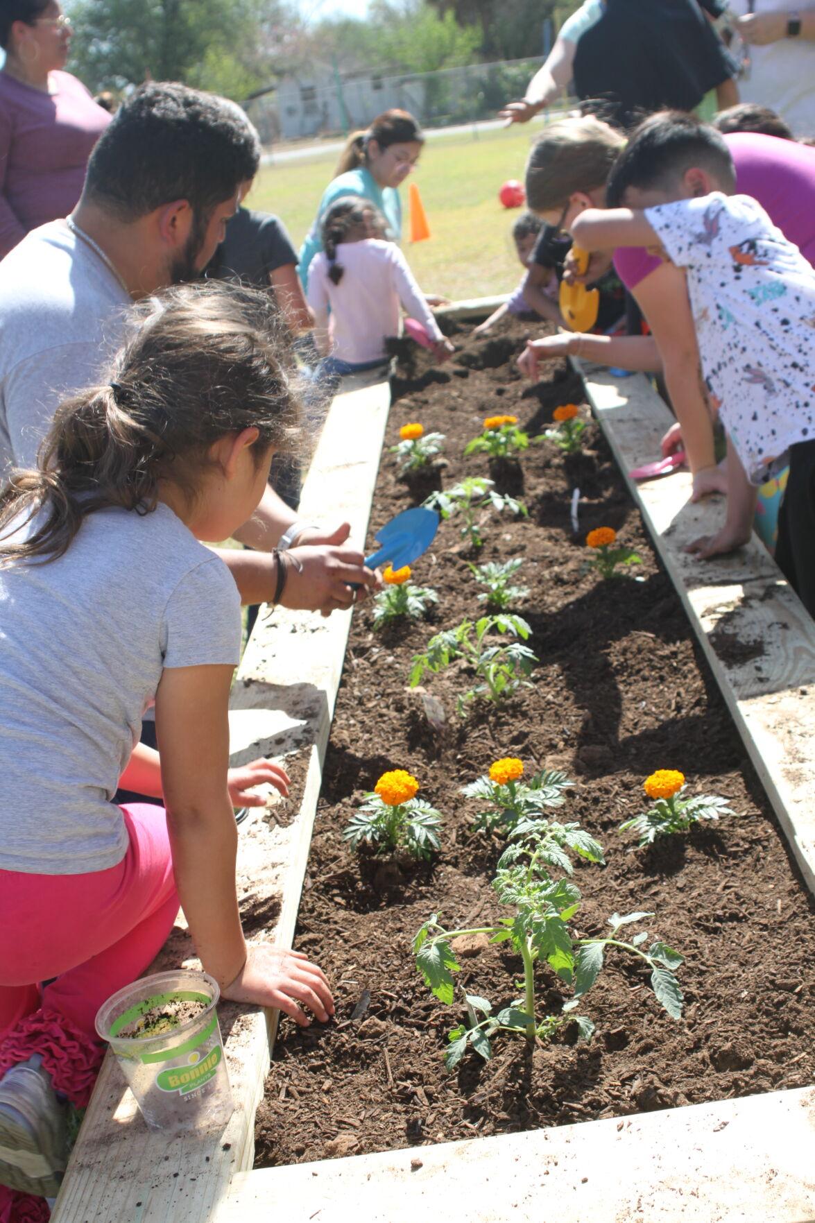 学生及其家人共同努力，在儿童学习学院创建了第一个花园。花园将增强学校的科学课程，并为动手学习提供机会。