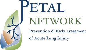 Petal Network Logo