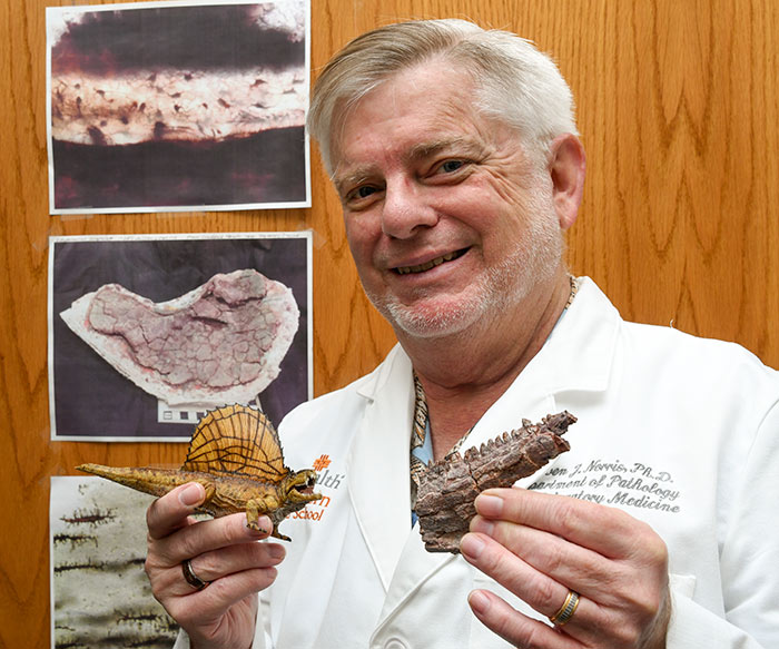 Paleontologist Dr. Steven Norris