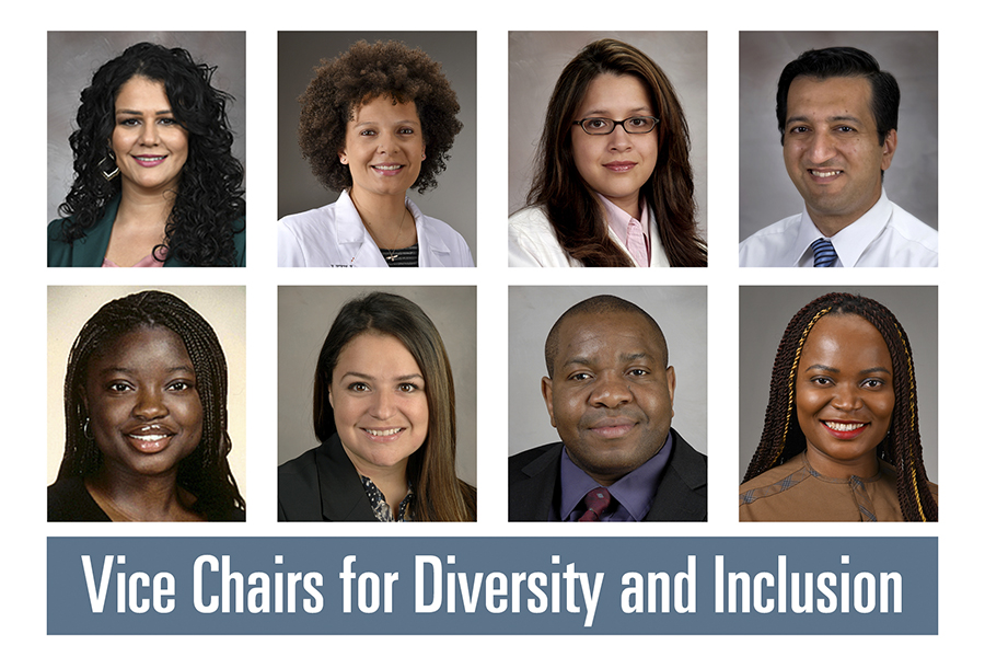The Inaugural vice chairs for Diversity and Inclusion