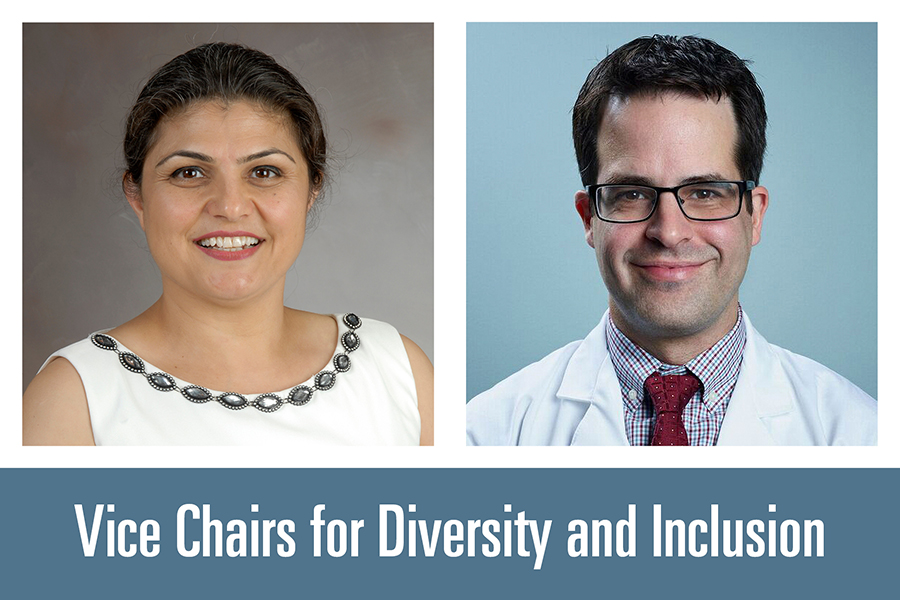 Vice Chairs for Diversity and Inclusion