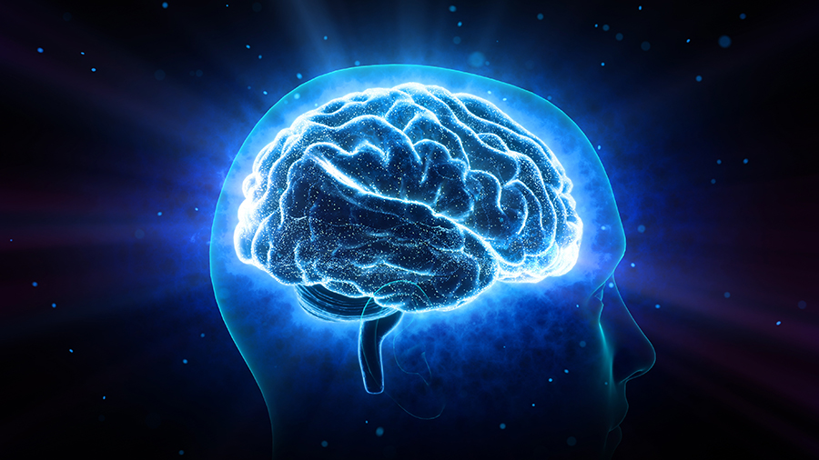 Brain Stock Image - Bipolar Disorder Grants