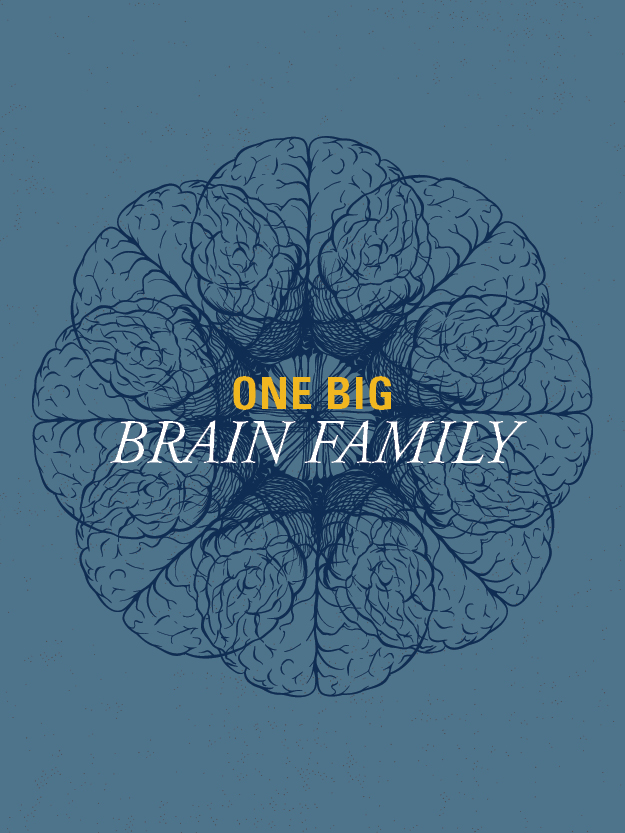 一个大脑的大家庭封面图片
