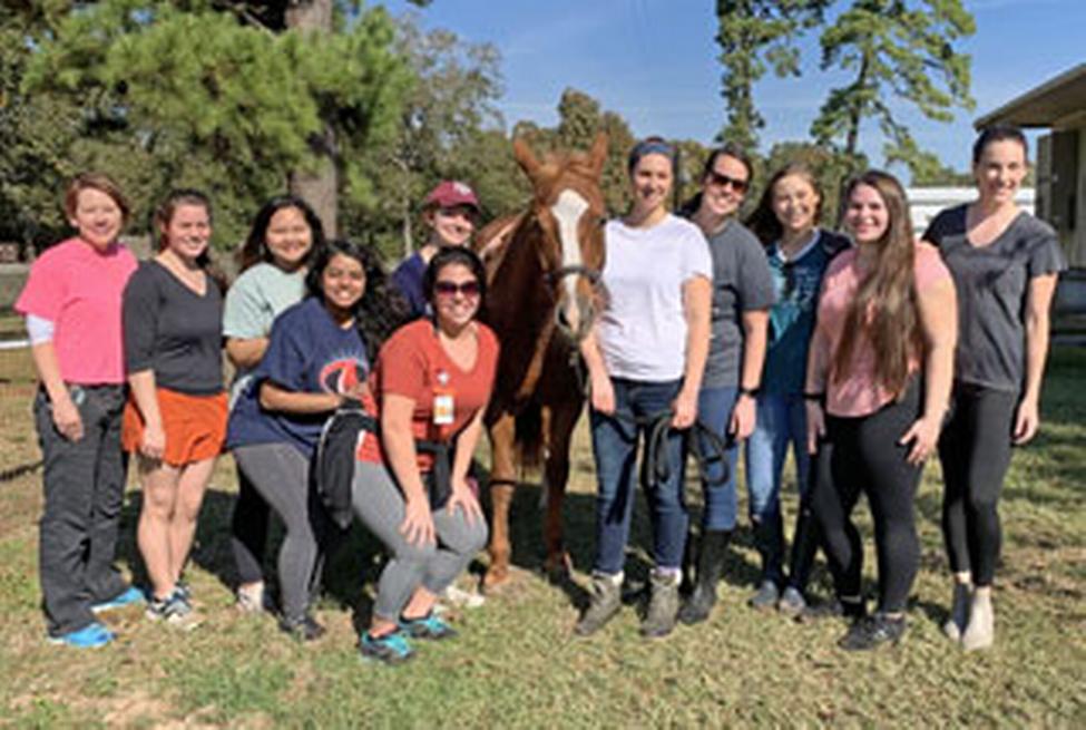 Dr. Sandy Branson’s community/public health nursing clinical group saddle up with SIRE. (Photo by Audrey Bratton)