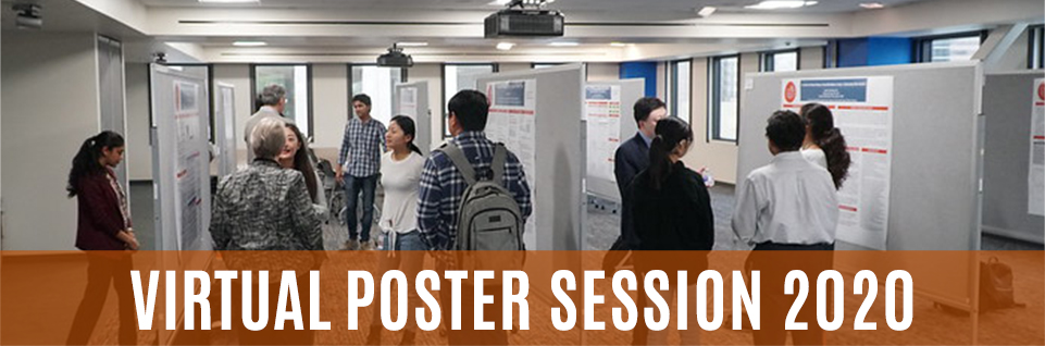 Virtual Poster Session 2020