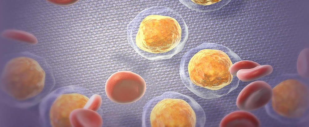 干细胞从CCTRN网站图片